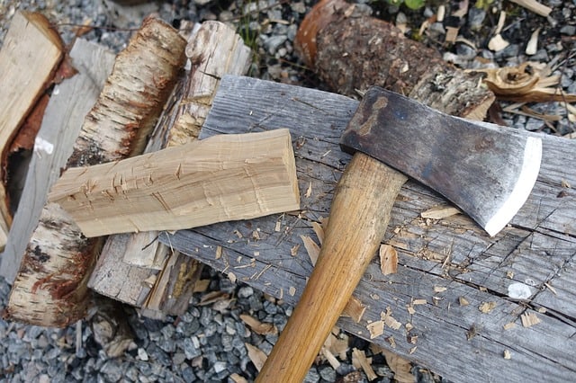 Dry Wood Inside Log