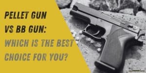 Pellet Gun vs BB Gun