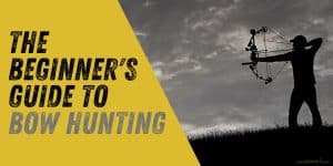 Beginner's Guide To Bow Hunting