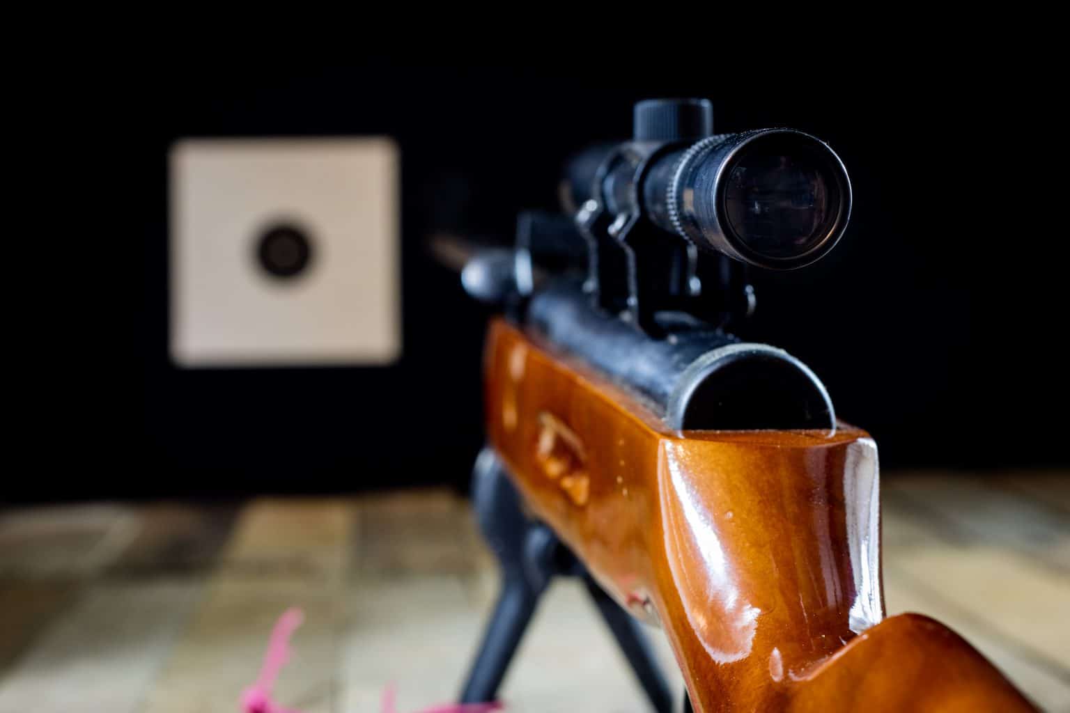 2022's 6 Best Air Rifle Scopes For Hunting